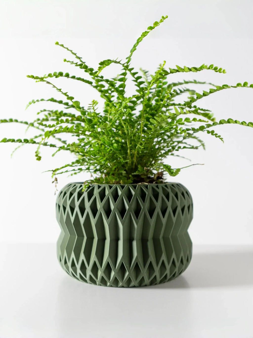 Biodegradable 3D Printed Plant Pot for Home Decor